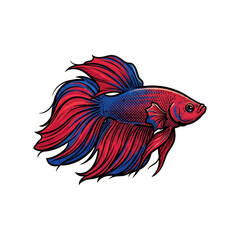 Fototapeta premium Stylized red and blue betta fish illustration
