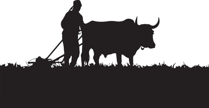 Silhouette of a farmer plowing a field with a bull