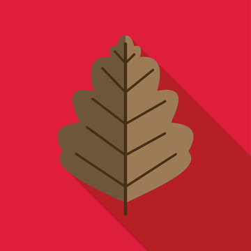 Brown oak leaf illustrating fall changing colors on a red background