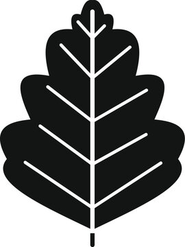 Oak tree leaf with veins forming a natural silhouette icon on white background