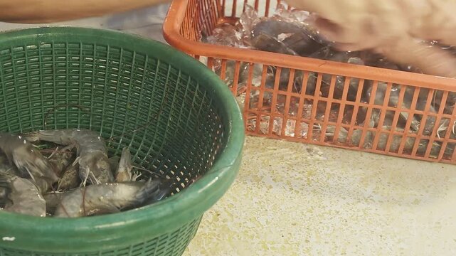 High angle view of fresh raw prawns being sorted with ice inside plastic baskets at a local seafood market stall targeting commercial food retail distribution restaurant menus and culinary marketplace
