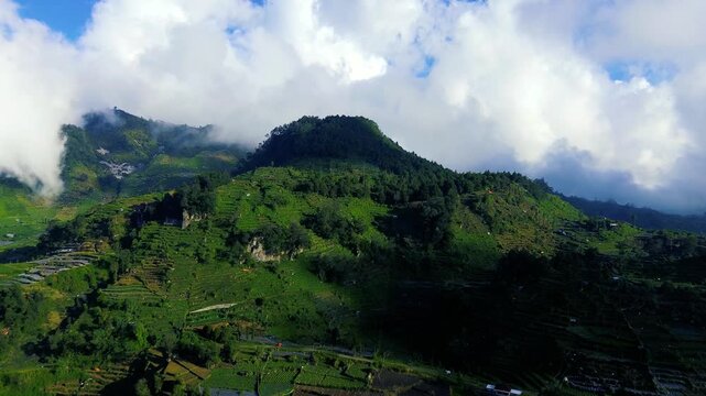 Aerial Drone View of Lush Green Rice Terraces on Hillsides in Indonesia