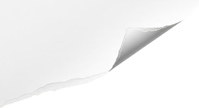 Torn paper corner lifting gently with soft studio lighting against a clean backdrop isolated on transparent background