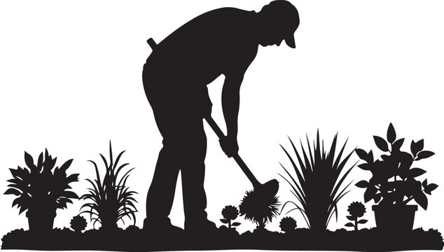 Silhouette of a man gardening, digging with a shovel plants 