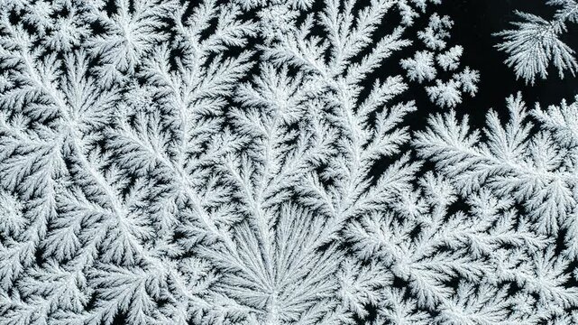 Natures Abstract Crystal Growth Pattern Delicate Snowflake Ice Texture Background, Evoking Winter Beauty and Intricate Symmetry
