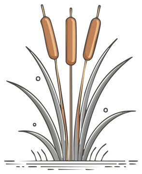 Elegant cattail illustration with detailed leaves and subtle shadow adds natural beauty to botanical designs and serene landscape visuals.
