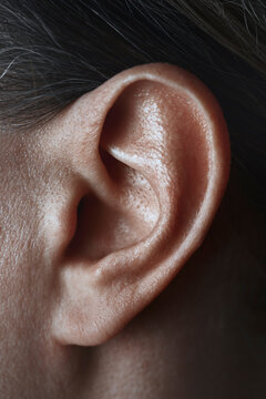 Macro detail of a human ear highlighting anatomy and healthcare