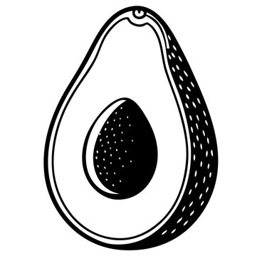 fruite avacado