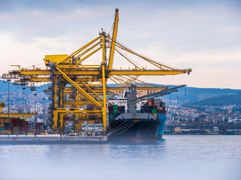 Italy, Province of Trieste, Trieste, Container ship docked in commercial harbor