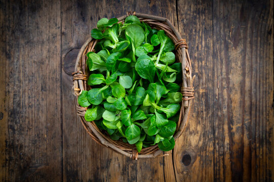 Lamb's lettuce in wickerbasket