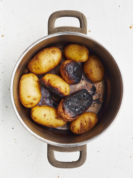 Cooking pot of burnt potatoes