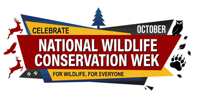 National Wildlife Conservation Week Event Celebrated with Vector Graphics and Animals