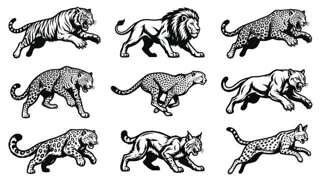A monochrome flat vector icon set of 9 detailed big cats with muscular torsos, sharp claws, long tails, visible fur layers, aggressive facial structure, realistic hunting poses
