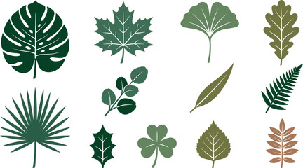 Fototapeta premium Flat Tropical and Forest Leaf Silhouette Vector Set Featuring Monstera Palm Frond Maple Ginkgo Oak Clover Fern Holly and Eucalyptus Foliage Illustrations