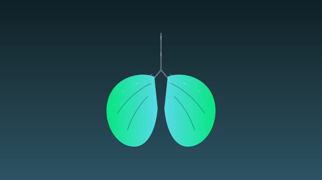 Human respiratory anatomy displaying glowing lungs inside thoracic cavity for medical education and internal organic science research regarding pulmonary function with conceptual health