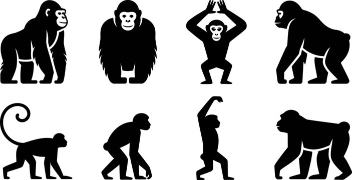 Collection of monkeys and apes in various poses and movements on white background