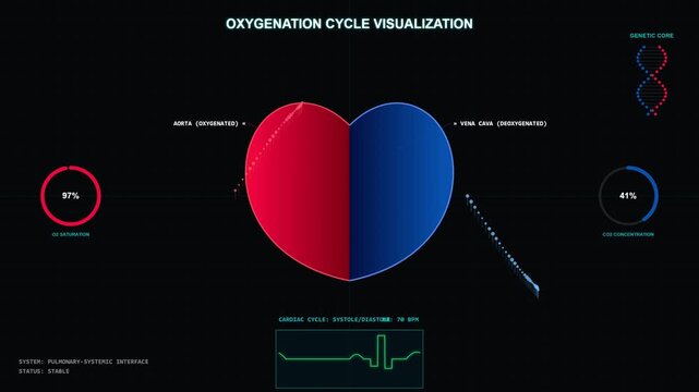 Digital heartbeat analytics visualization shows oxygenation cycle data