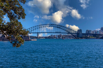 Fototapeta premium View of Sydney Harbour Bridge and Opera House viewed from Botanical Gardens on the harbour foreshore in Sydney NSW Australia