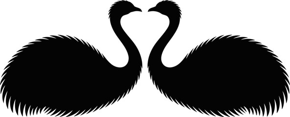 Two swans standing side by side with feathers spread out wide © SAYEDAJANNATUL
