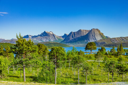 Blick &uuml;ber den Efjord in Norwegen