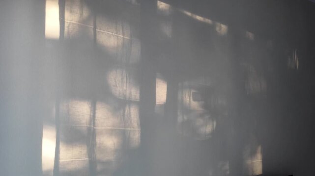 Minimalist window shadow of curtain moving on white wall, morning sunlight overlay effect with abstract branch reflections.