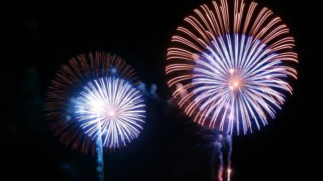 Colorful fireworks exploding in the night sky