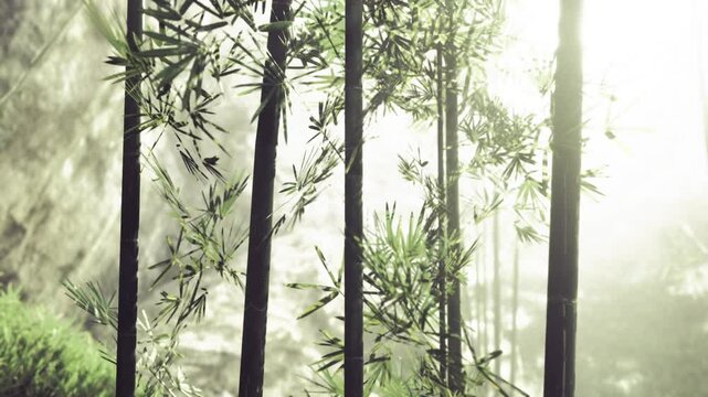 Bamboo stems showcasing sustainable material potential, visible nodes and straight grain, warm green tones, perfect visual for eco design, architecture,