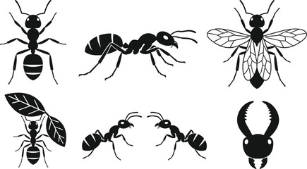 Black ant silhouette vector icon set with flying wasp leafcutter and insect pest control elements © MdAungur