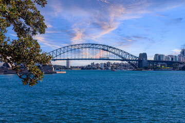 Fototapeta premium View of Sydney Harbour Bridge and Opera House viewed from Botanical Gardens on the harbour foreshore in Sydney NSW Australia