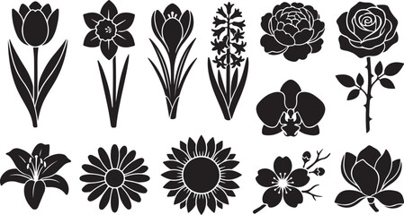 Collection of twelve black silhouette featuring various botanical flowers including a tulip, daffodil, crocus, hyacinth, peony, rose, orchid, lily, daisy, sunflower, cherry blossom, and magnolia © MdAbu
