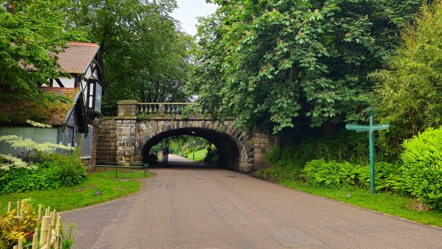 Ivy bridge in Avenham and Miller park, Preston 