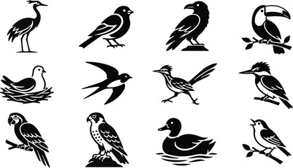 Fototapeta premium Minimalist Black White Bird Icons Collection Diverse Species Set