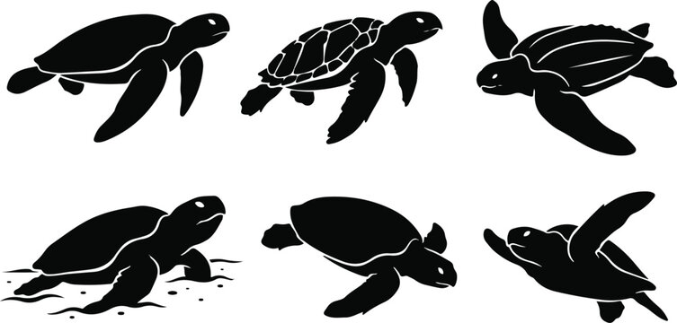 Sea Turtle Silhouette Set Collection with Swimming and Crawling Marine Turtle Vector Illustrations
