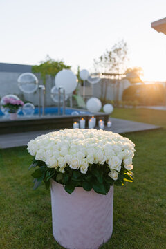 Large bouquet of white roses in pink box outdoors