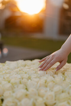 Woman hand with engagement ring on white rose bouquet at sunset