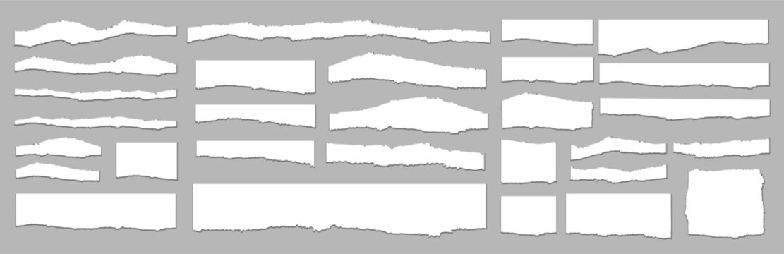 Torn paper set on gray background with various shapes and sizes