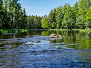 Swedish river and natural salmon area in summer. Farnebofjarden national park in north of Sweden © Conny Sjostrom