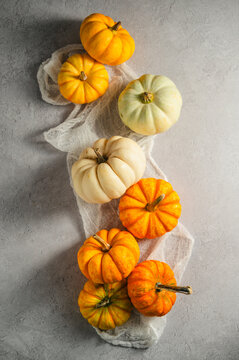 Colourful ornamental pumpkins on gray background with copy space, top view