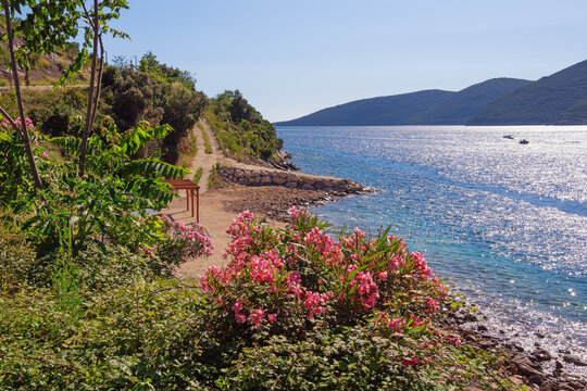 Beautiful summer Mediterranean landscape. Montenegro, view of Bay of Kotor from Lustica penincuna
