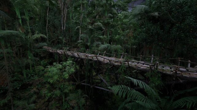 Moss covered log bridge crossing dense forest canopy at dusk, weathered planks and rope railings framed by ferns and towering trunks, damp atmosphere evoking