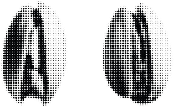 Roasted coffee bean halftone dots, abstract black and white vector illustration. Pop art style dotted texture for coffee shop branding, cafe menu, packaging design, prints and digital media background