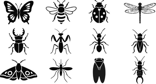 Various Black and White Insect Silhouette Icons Collection Set