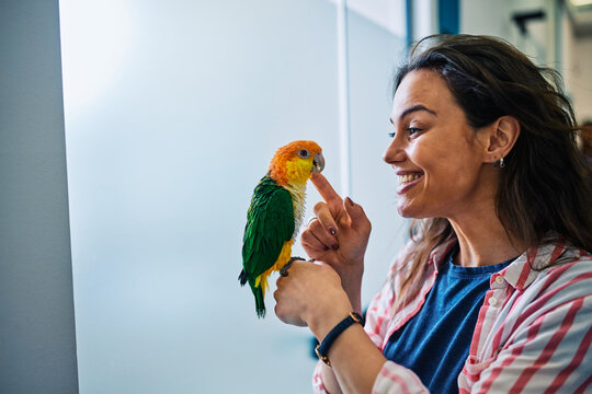 Woman interacting with her colorful parrot pet on hand