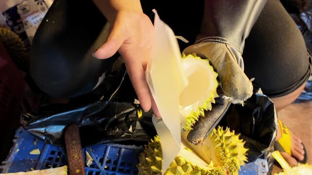 Close-up of a Thai street vendor holding freshly opened durian and revealing its creamy yellow flesh after cutting the spiky shell at a local night market in Thailand. Authentic tropical fruit prepara