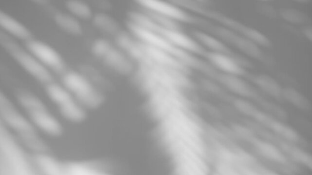 Summer concept the motion of leaves sunlight natural shadow overlay on white texture background, for overlay on product presentation, backdrop and mockup