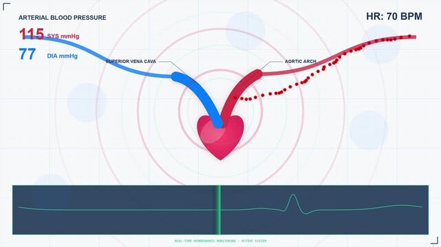 Visualizing Blood Pressure Arterial System in Medical Animation