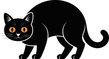 Black cat with orange eyes and white outline standing alone  looking forward © SAYEDAJANNATUL