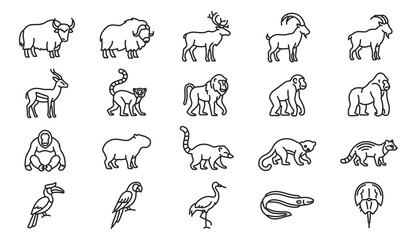 Minimalist wild animal line icons, set of 20 vector animal silhouettes, modern wildlife outline symbols for nature education and zoo branding © rehman