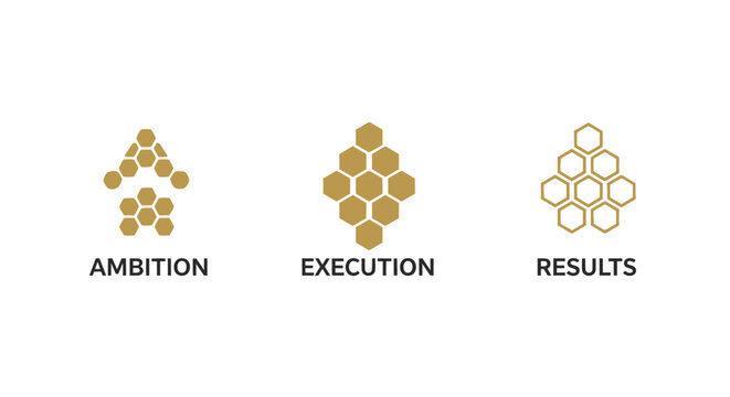 Hexagonal icons representing ambition execution and results.