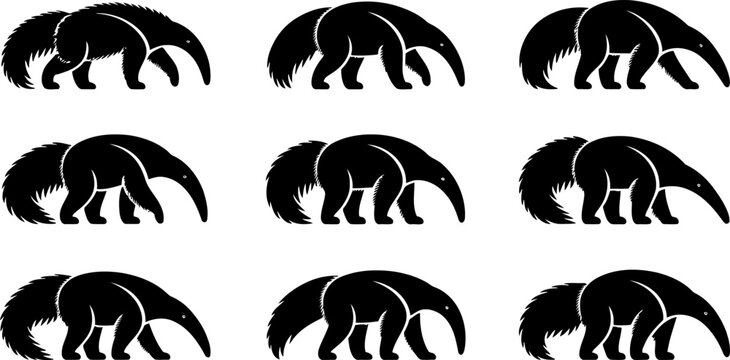Set of giant anteater silhouettes in various poses and angles  isolated on white background